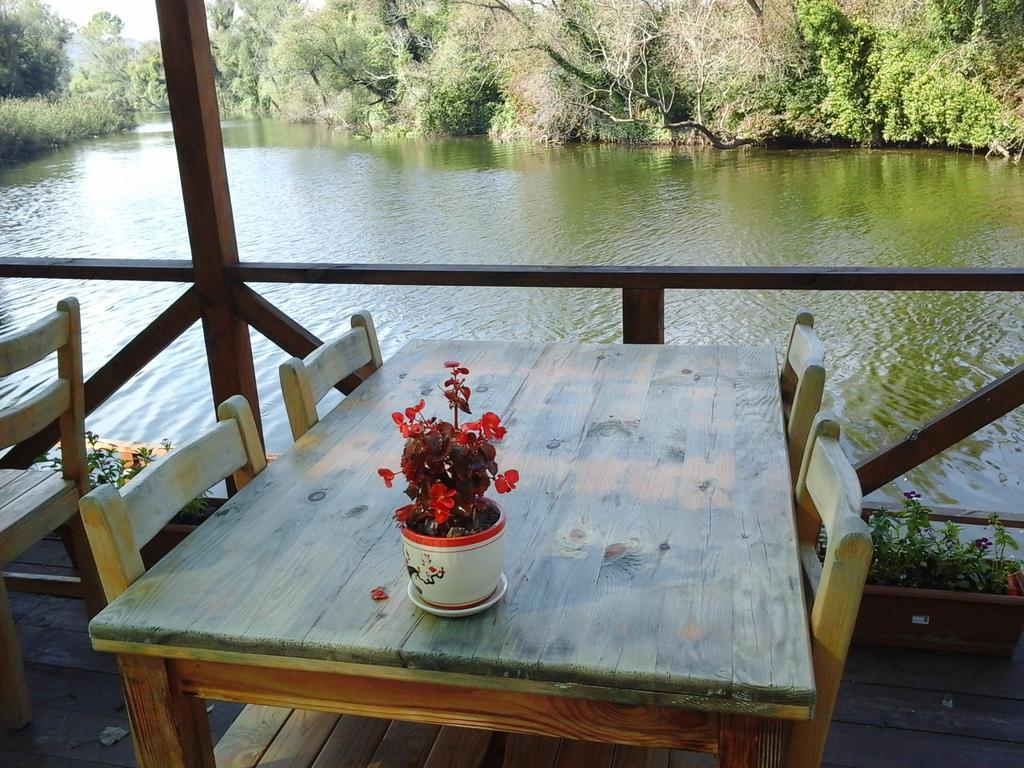 לינה וארוחת בוקר אגווה Vira Creek House מראה חיצוני תמונה